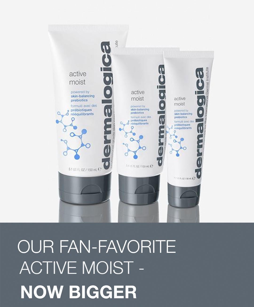 Dermalogica Active Moist in three sizes